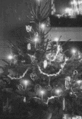 Thumbnail for version as of 11:38, 22 December 2006